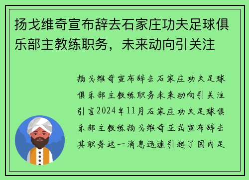 扬戈维奇宣布辞去石家庄功夫足球俱乐部主教练职务，未来动向引关注